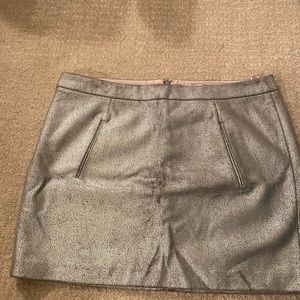Silver Skirt